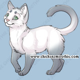 Pet