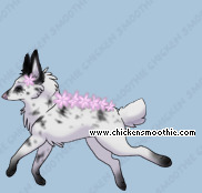 Pet