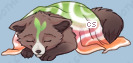 Pet