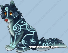 Pet