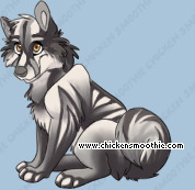 Pet