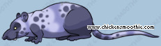 Pet