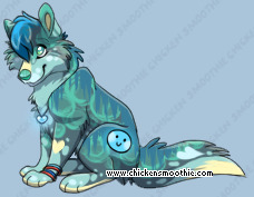 Pet