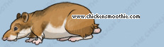 Pet