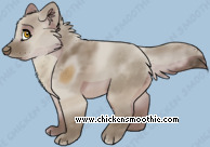 Pet