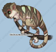 Pet