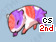 Pet