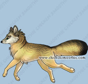 Pet