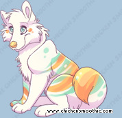 Pet