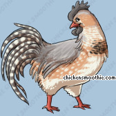 Pet