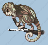 Pet