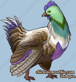 Pet