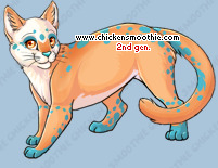 Pet