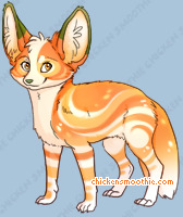Pet
