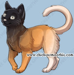 Pet