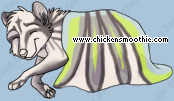 Pet