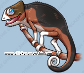 Pet