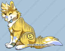 Pet