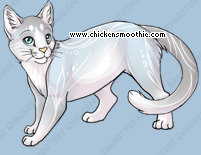 Pet