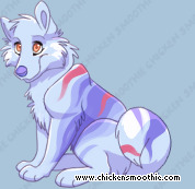 Pet