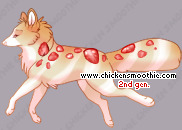 Pet