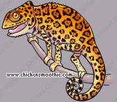 Pet