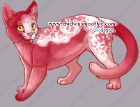 Pet