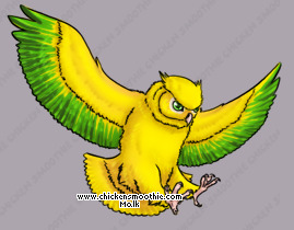 Pet
