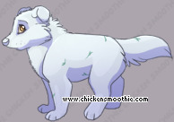 Pet