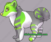 Pet
