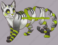 Pet