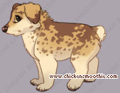 Pet