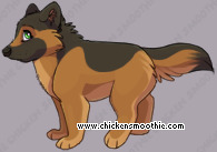 Pet