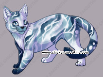 Pet