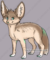 Pet