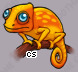 Pet
