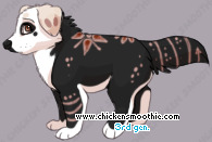 Pet