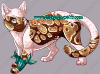 Pet