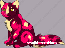 Pet