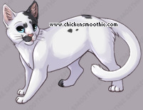 Pet