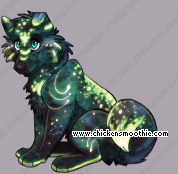Pet