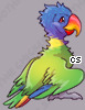 Pet
