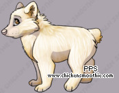 Pet