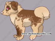 Pet