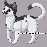 Pet