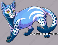 Pet