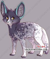 Pet