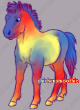 Pet