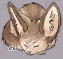 Pet