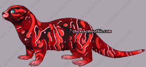 Pet